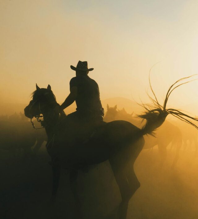 silhouette of a man in cowboy hat riding a horse at sunrise