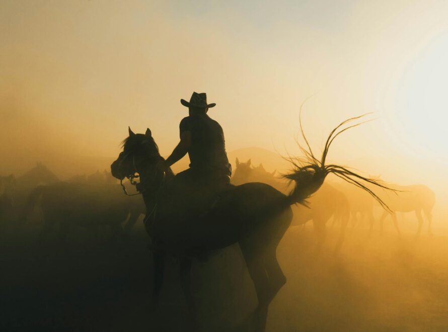 silhouette of a man in cowboy hat riding a horse at sunrise